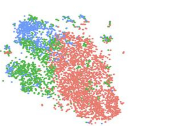 Cells projected in two dimensions and coloured by inferred cell-cycle phase